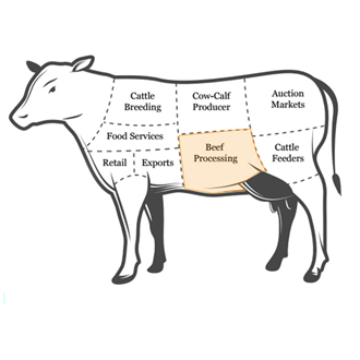 Beef Cow Products