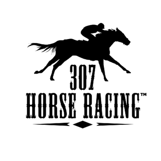 Race Horse Front On: Over 3,079 Royalty-Free Licensable Stock