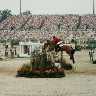 olympic horse jumping arena