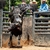 Friday Rodeo - Bulls, Barrels & Broncs