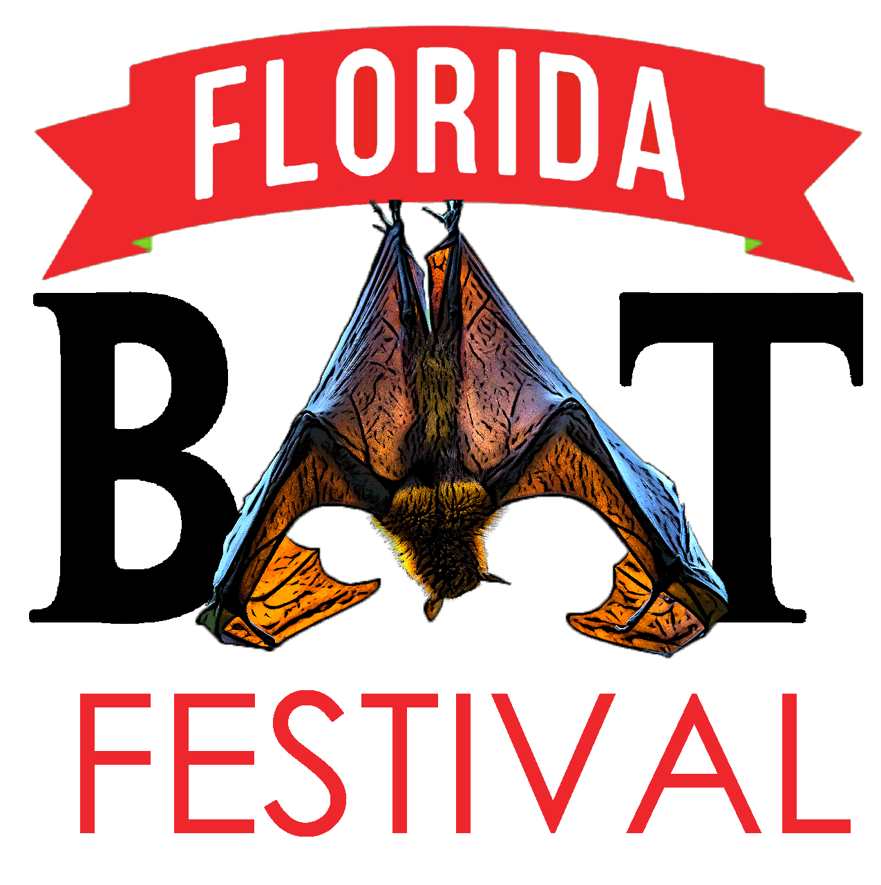 Florida Bat Festival