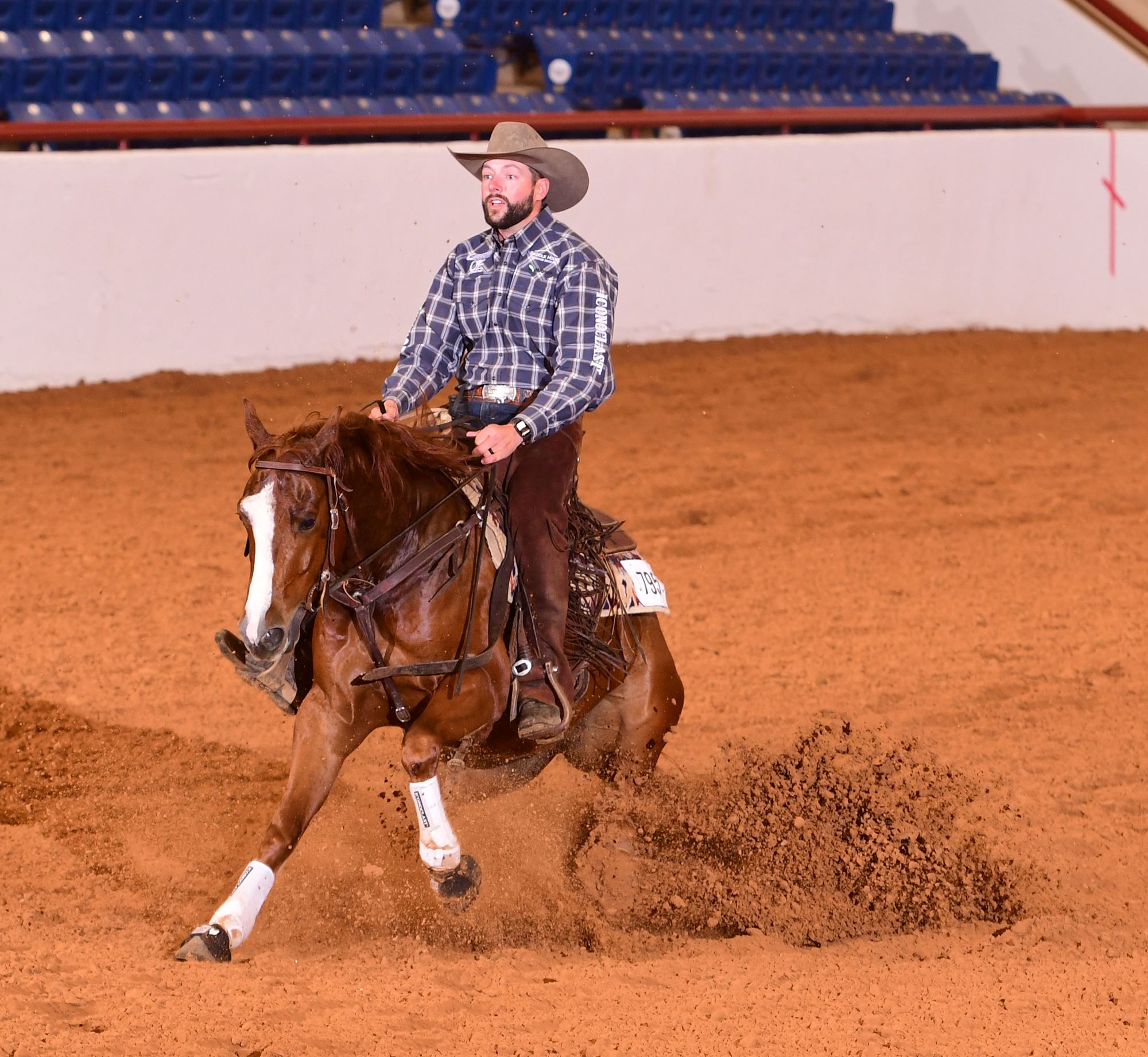 Reining Horse Classes AQHA & NRHA