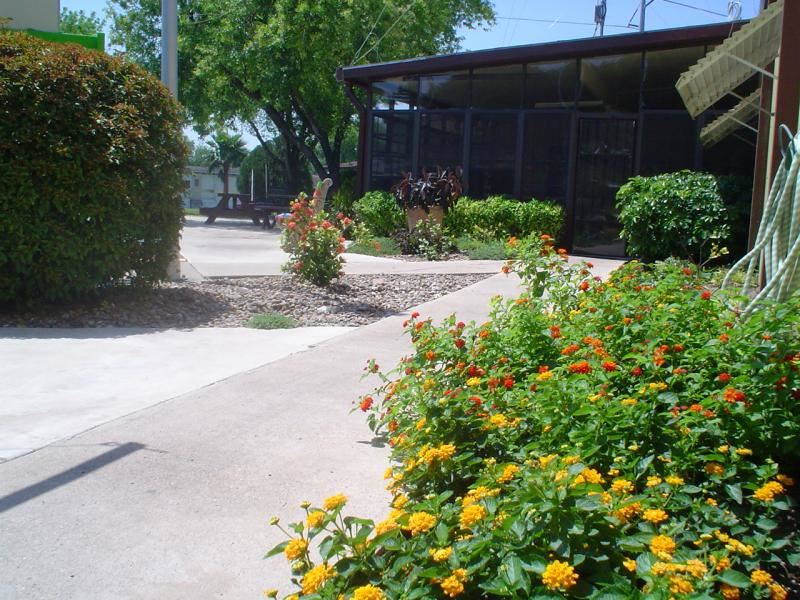 Butterfly Garden