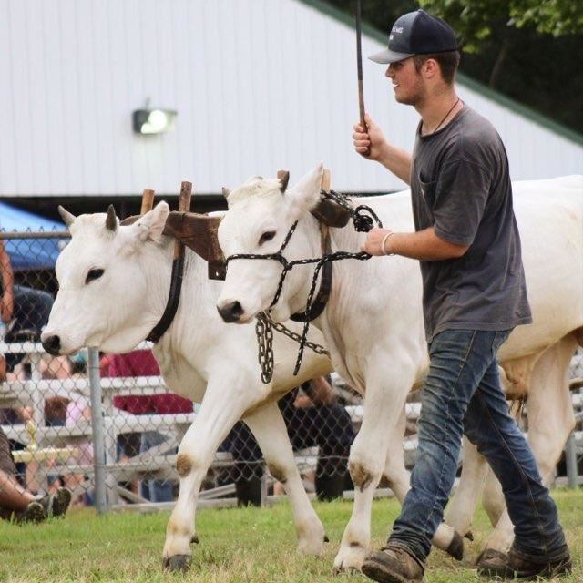 North Stonington Agricultural Fair