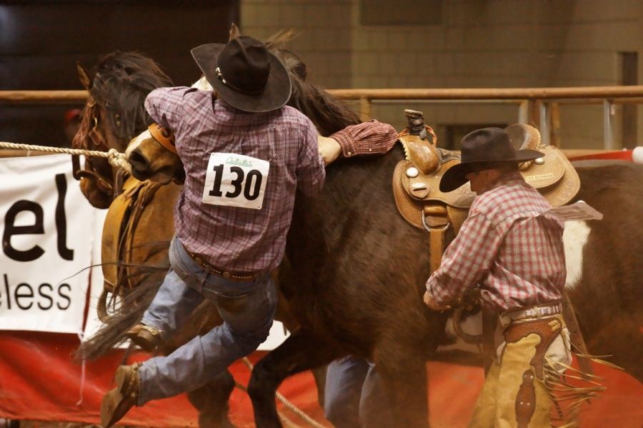 Ranch Rodeo