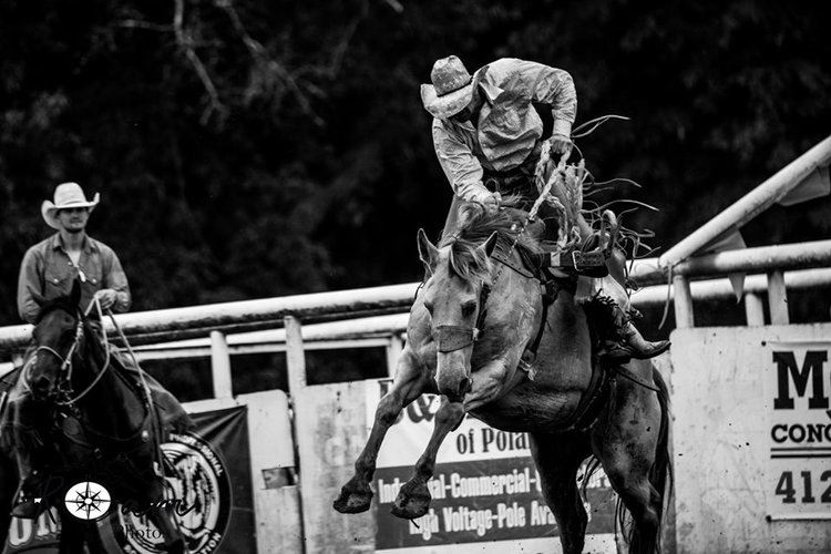 Carroll County Fair Ohio