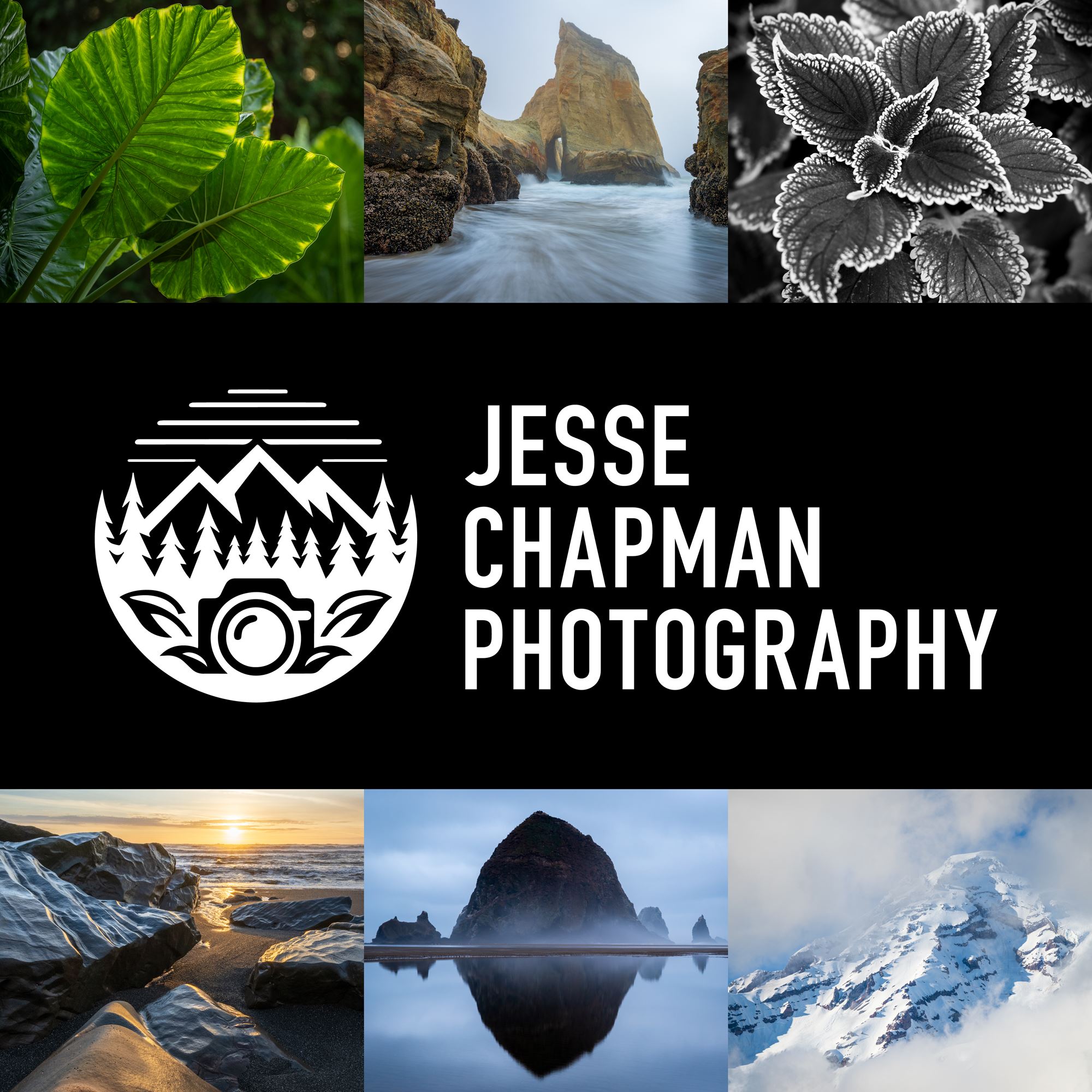 Jesse Chapman Photography