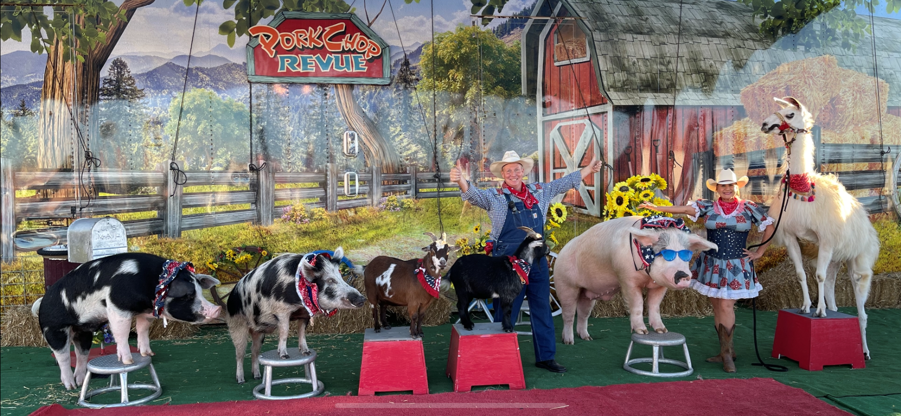 Porkchop Revue