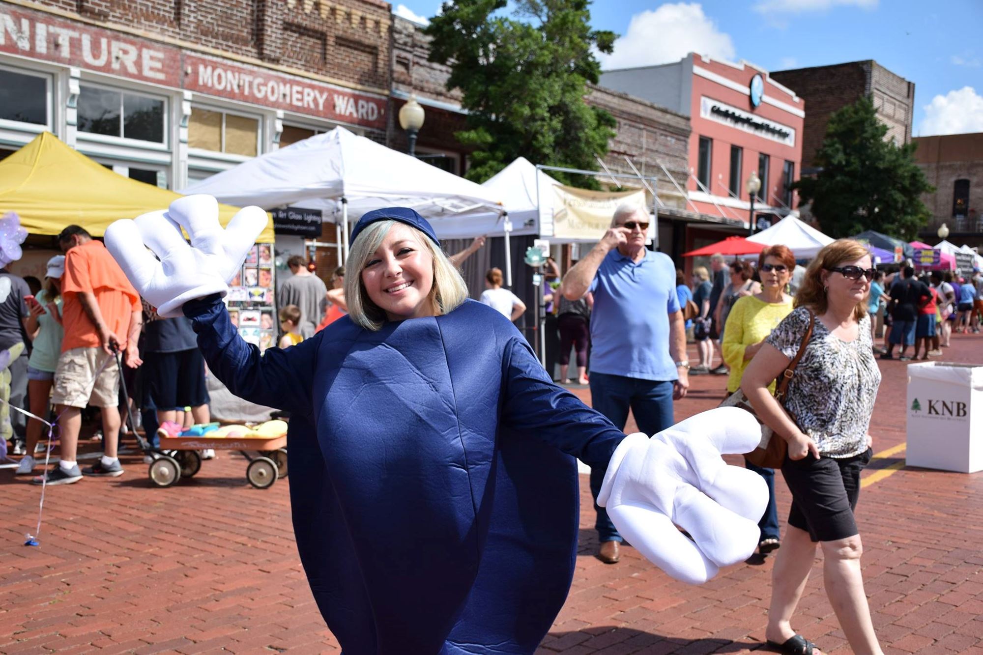 Texas Blueberry Festival