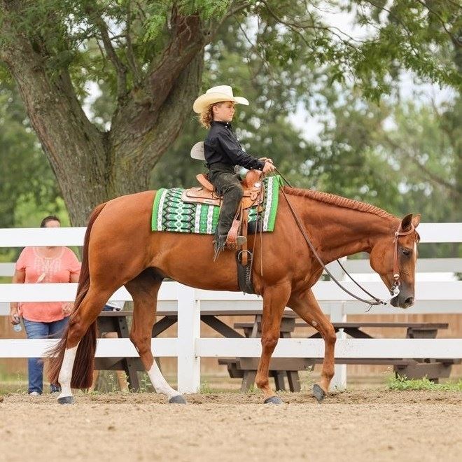 4H Western Horse Show