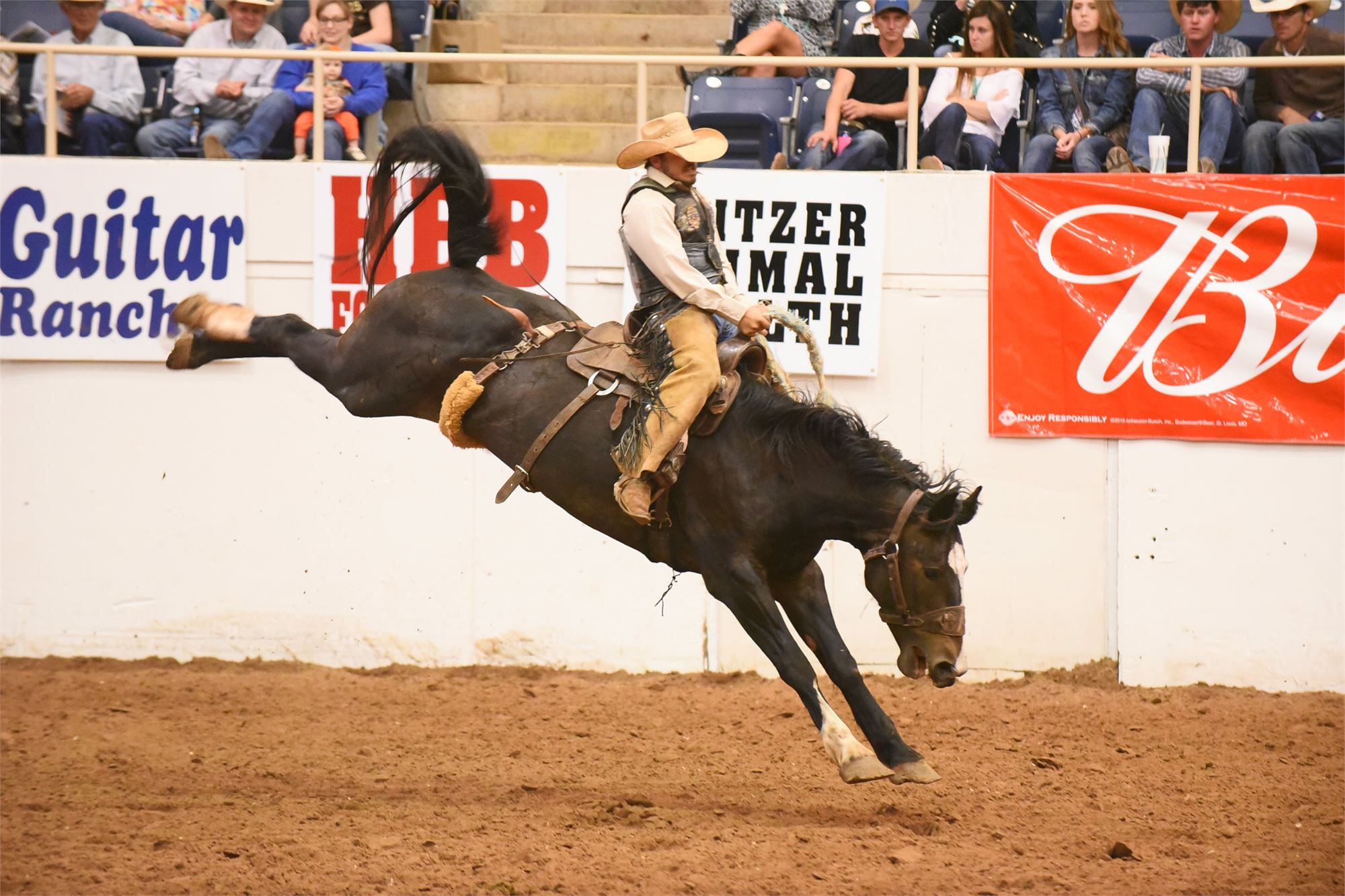 Green Land & Cattle Co.