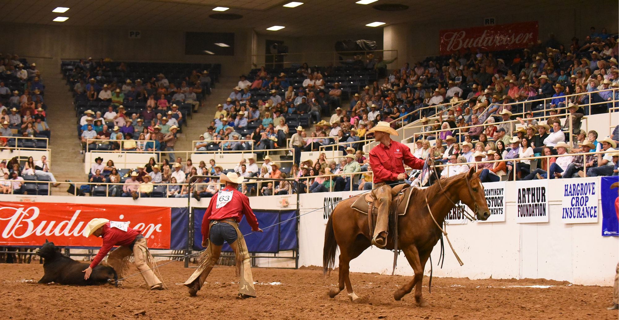Pitchfork Land & Cattle Company