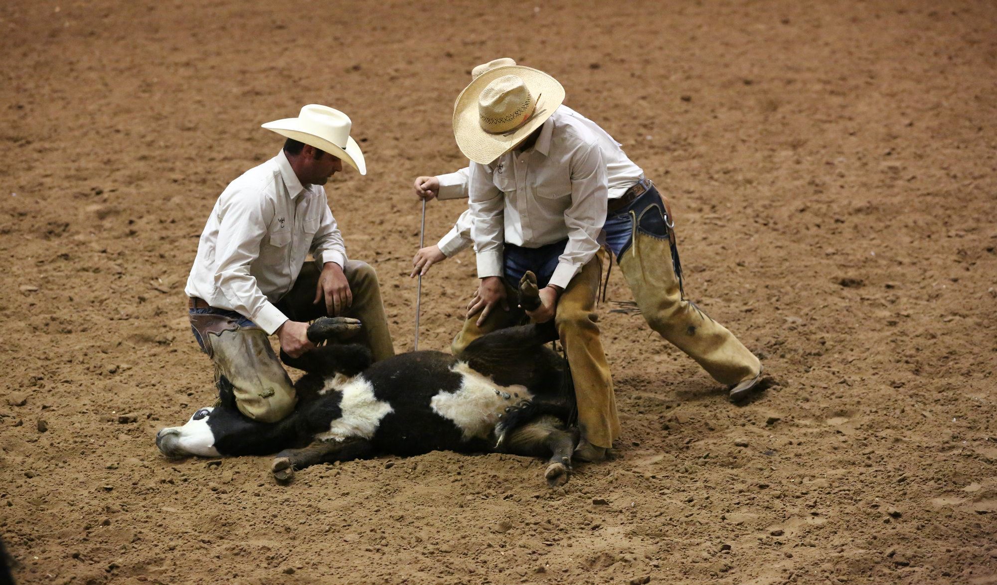 Green Land & Cattle Co.