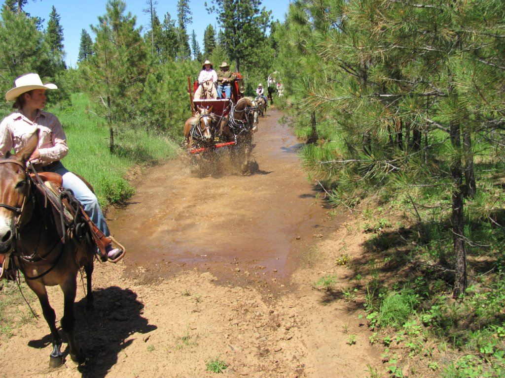 Wagon Train