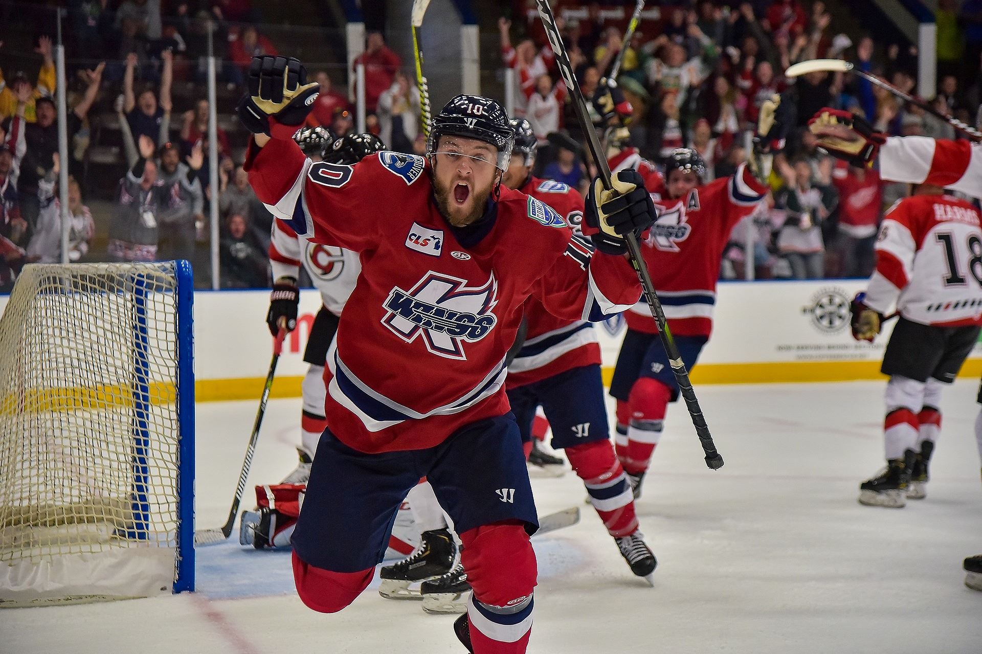 images.ashx?t=ig&rid=WingsStadium&i=196996652_4602081966485686