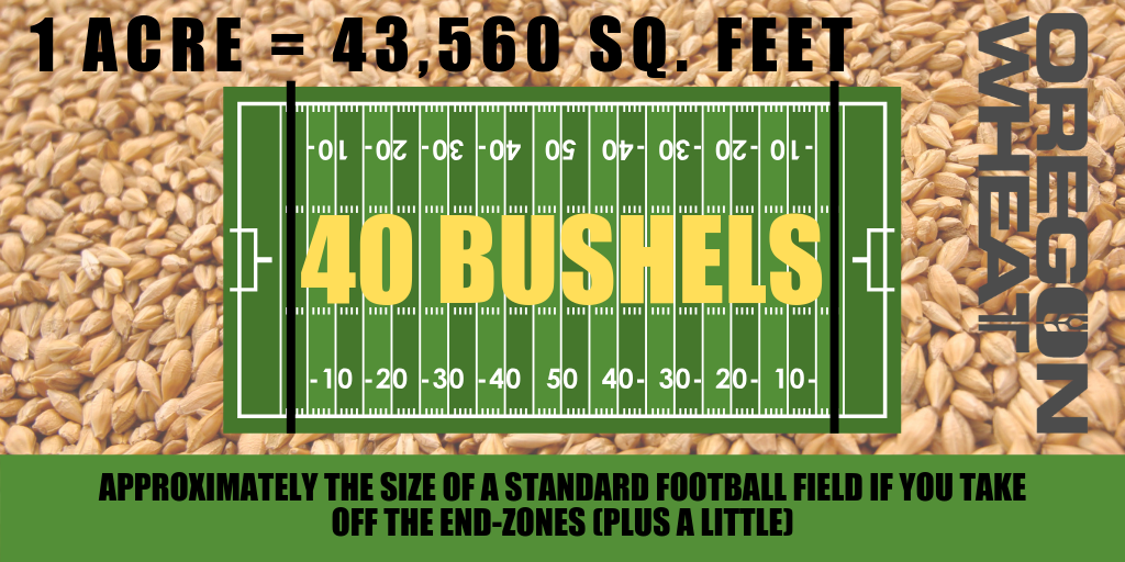 Wheat Facts