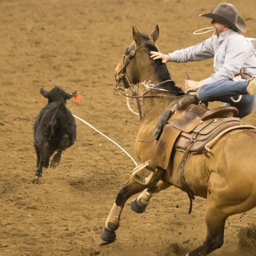 CPRA RODEO