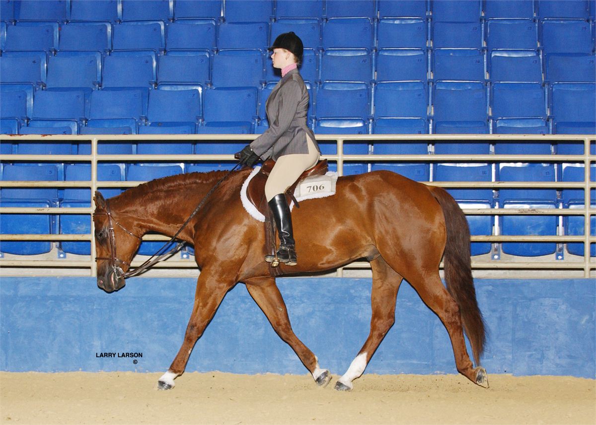 AQHA Region 2 Championships