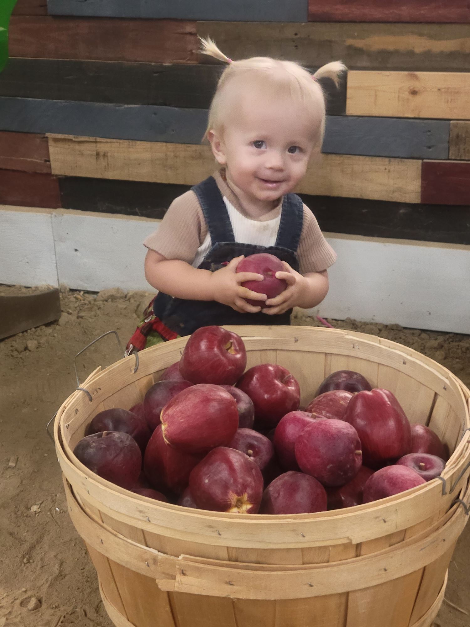 Meeker County Fair