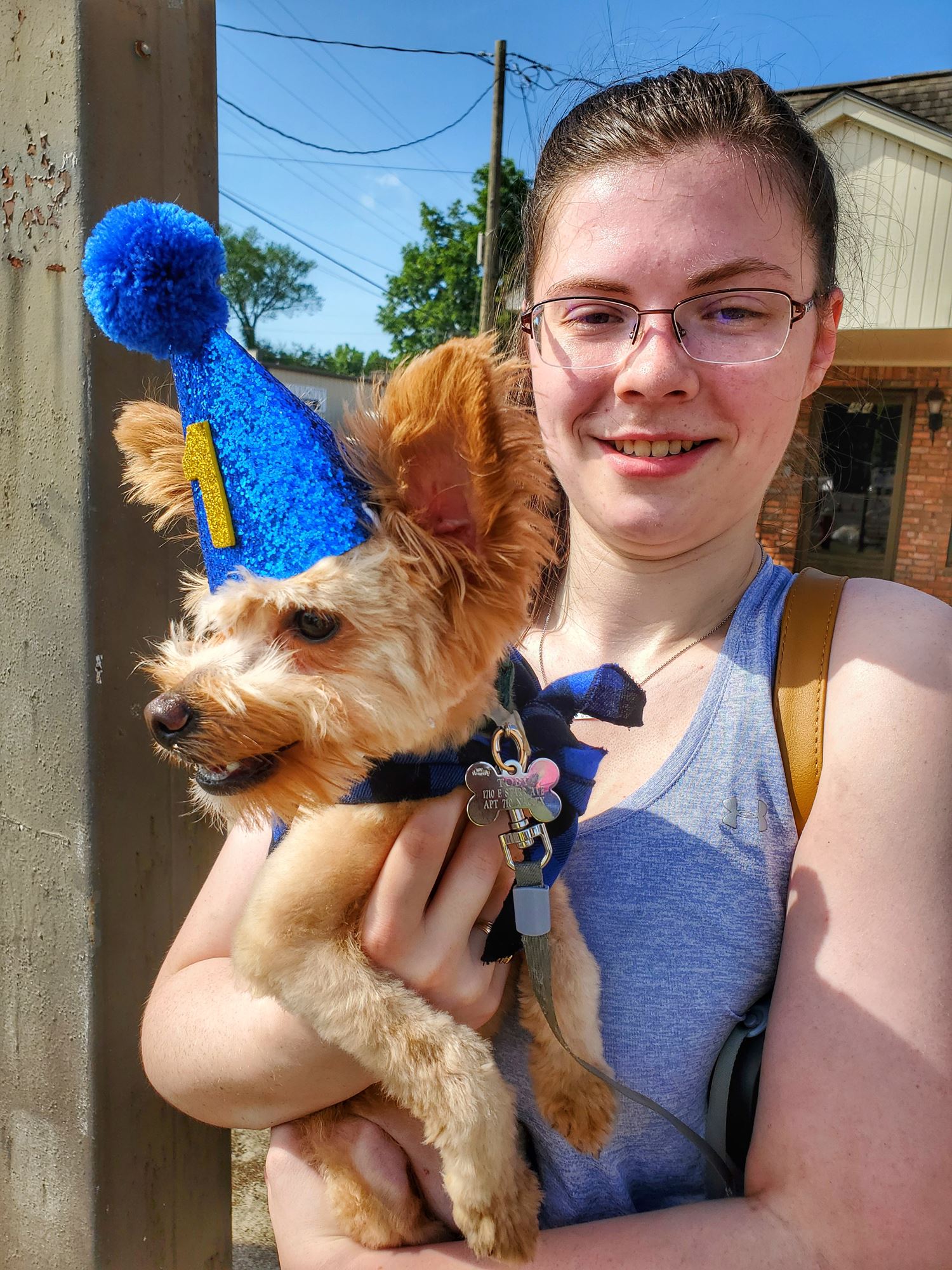 are dogs allowed at the blueberry festival