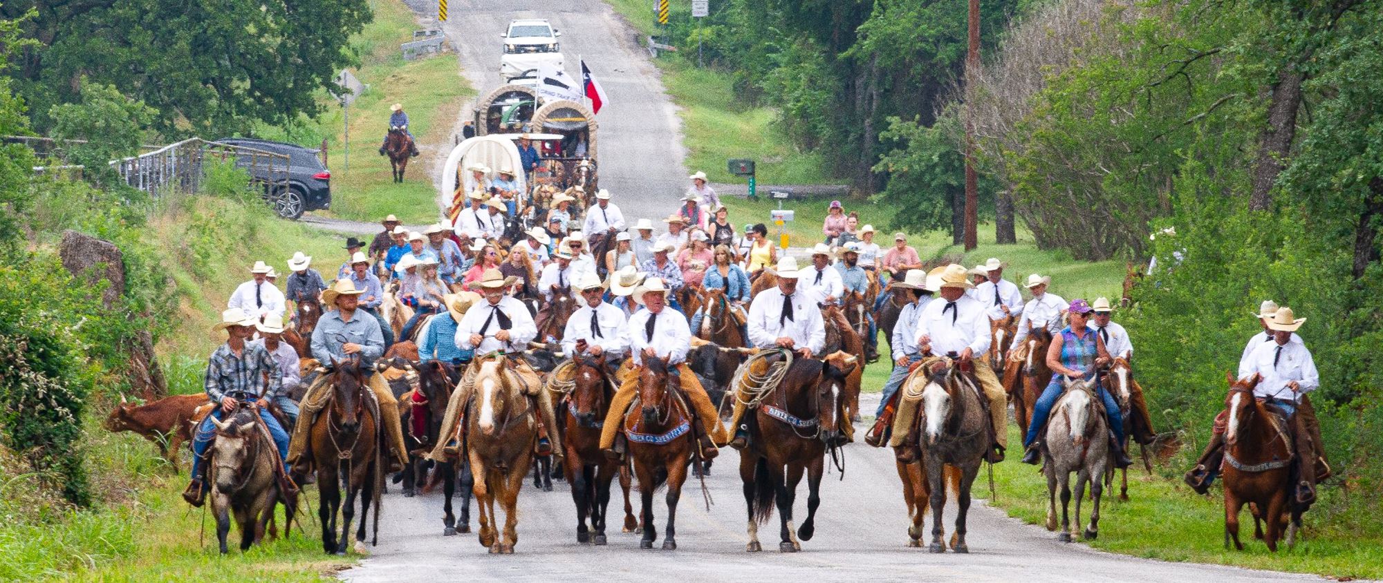PCSP Frontier Days Cattle Drive