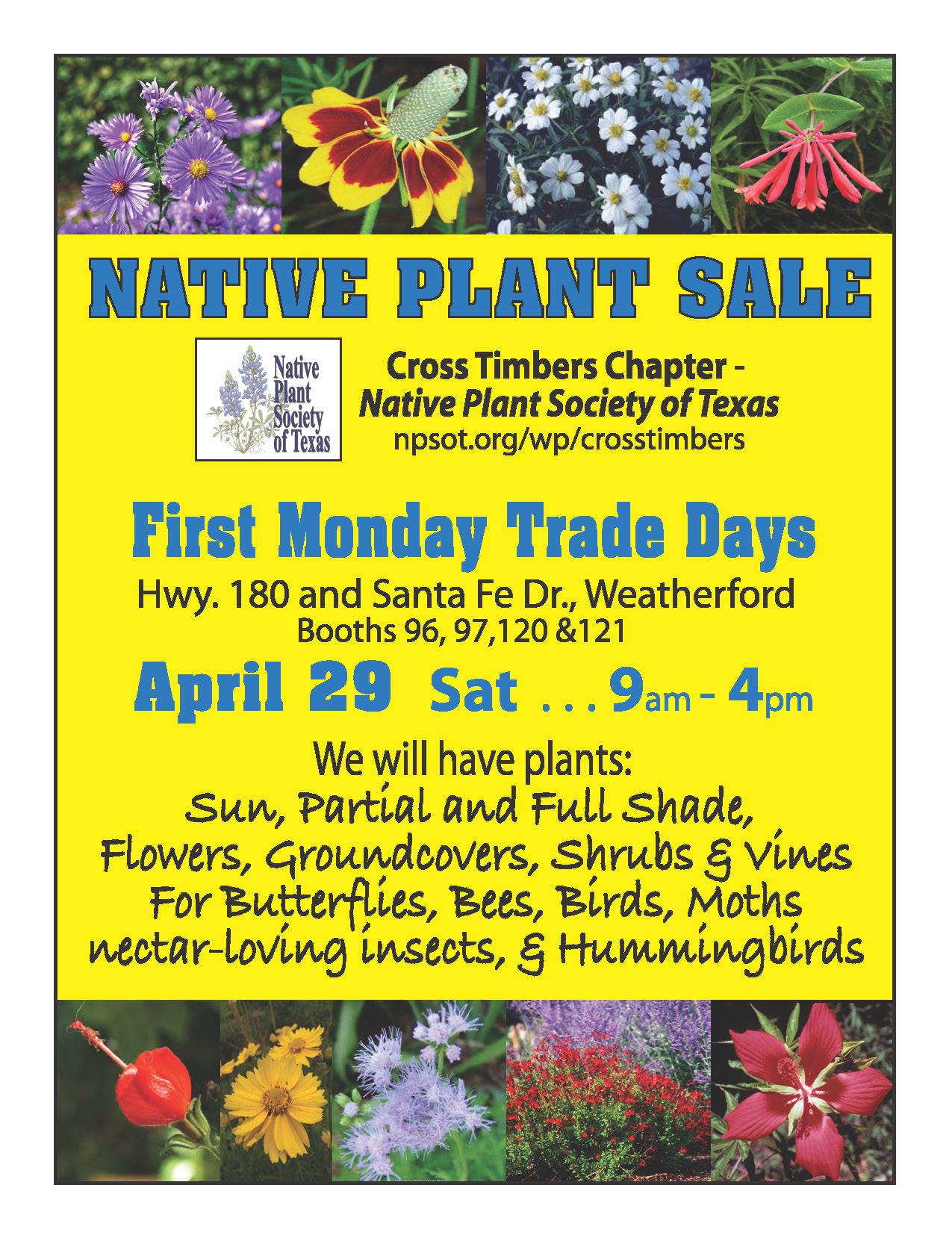 Native Plant Sale Cross Timbers Chapter of Native Plant Society of Texas