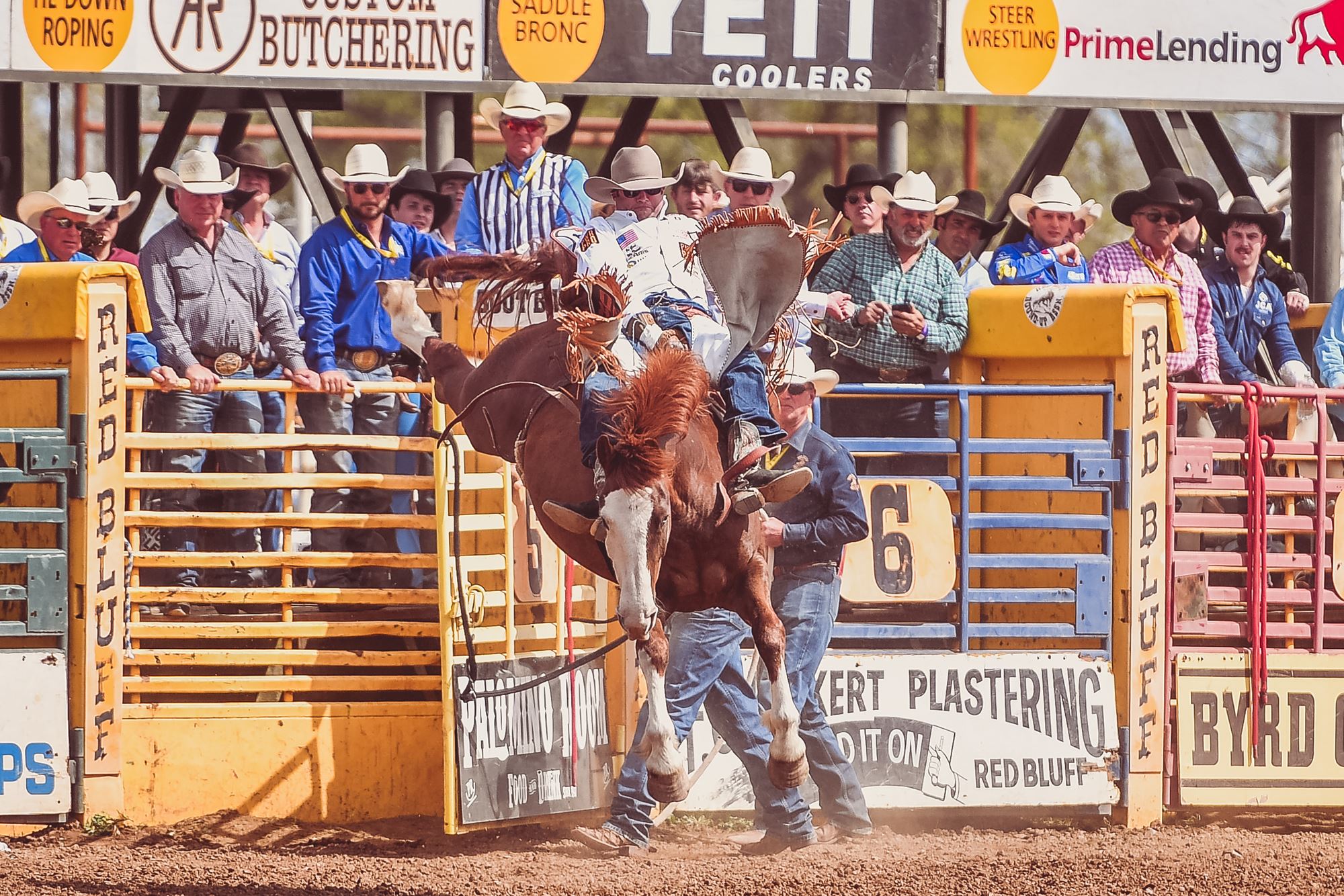 2024 Red Bluff Round Up Event Results