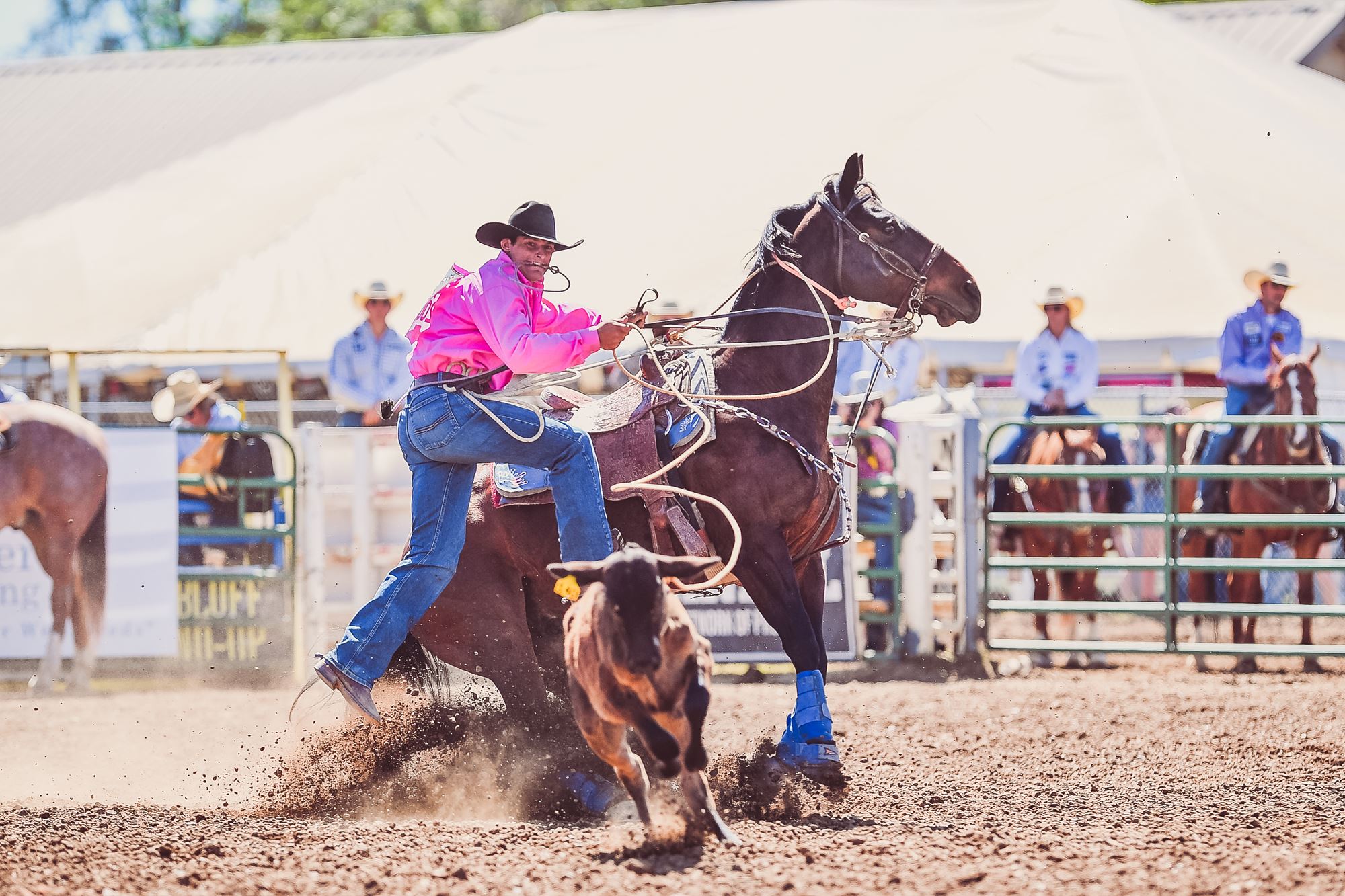 2024 Red Bluff Round Up Event Results