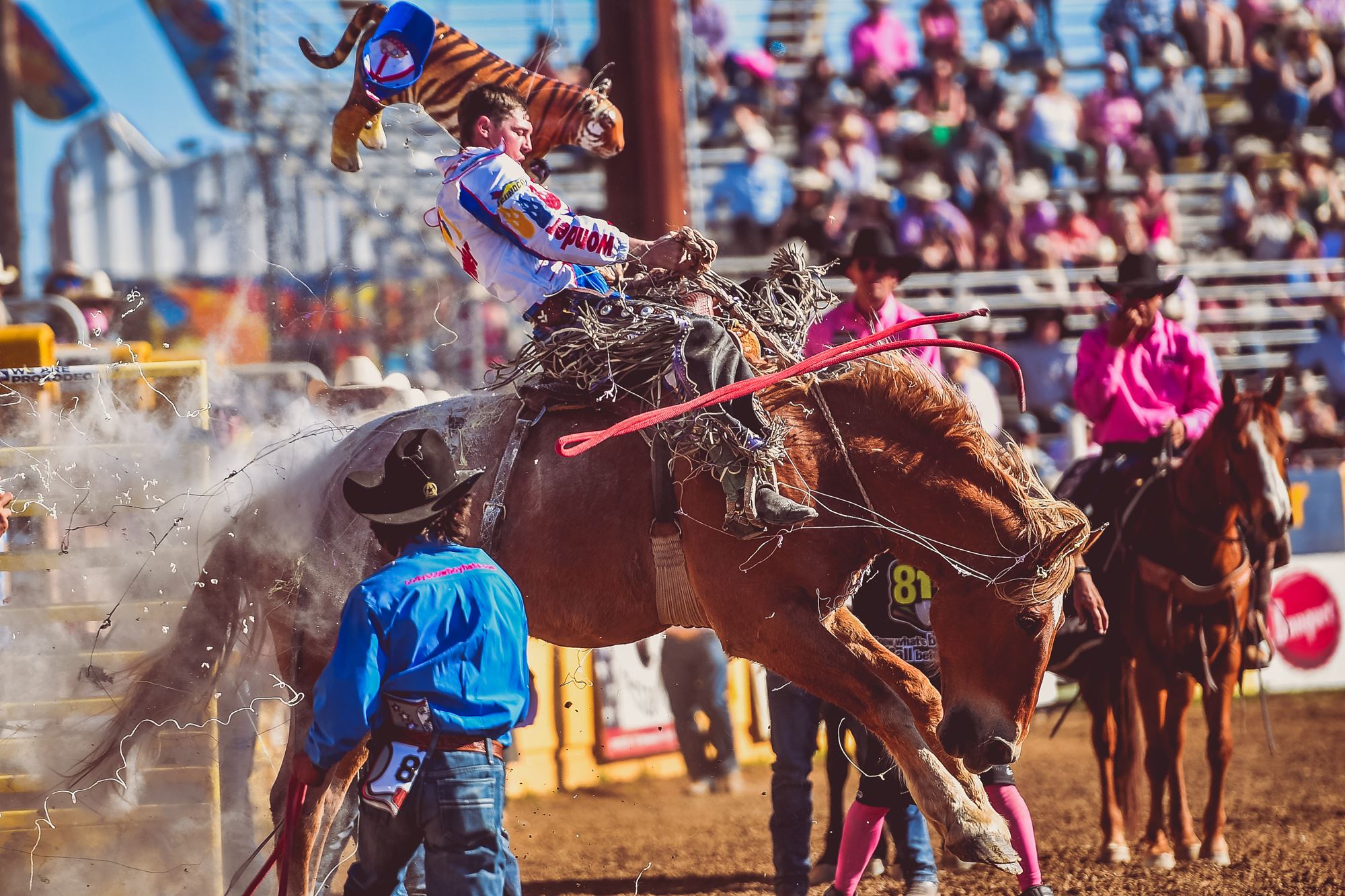 2023 Red Bluff Round Up Event Results