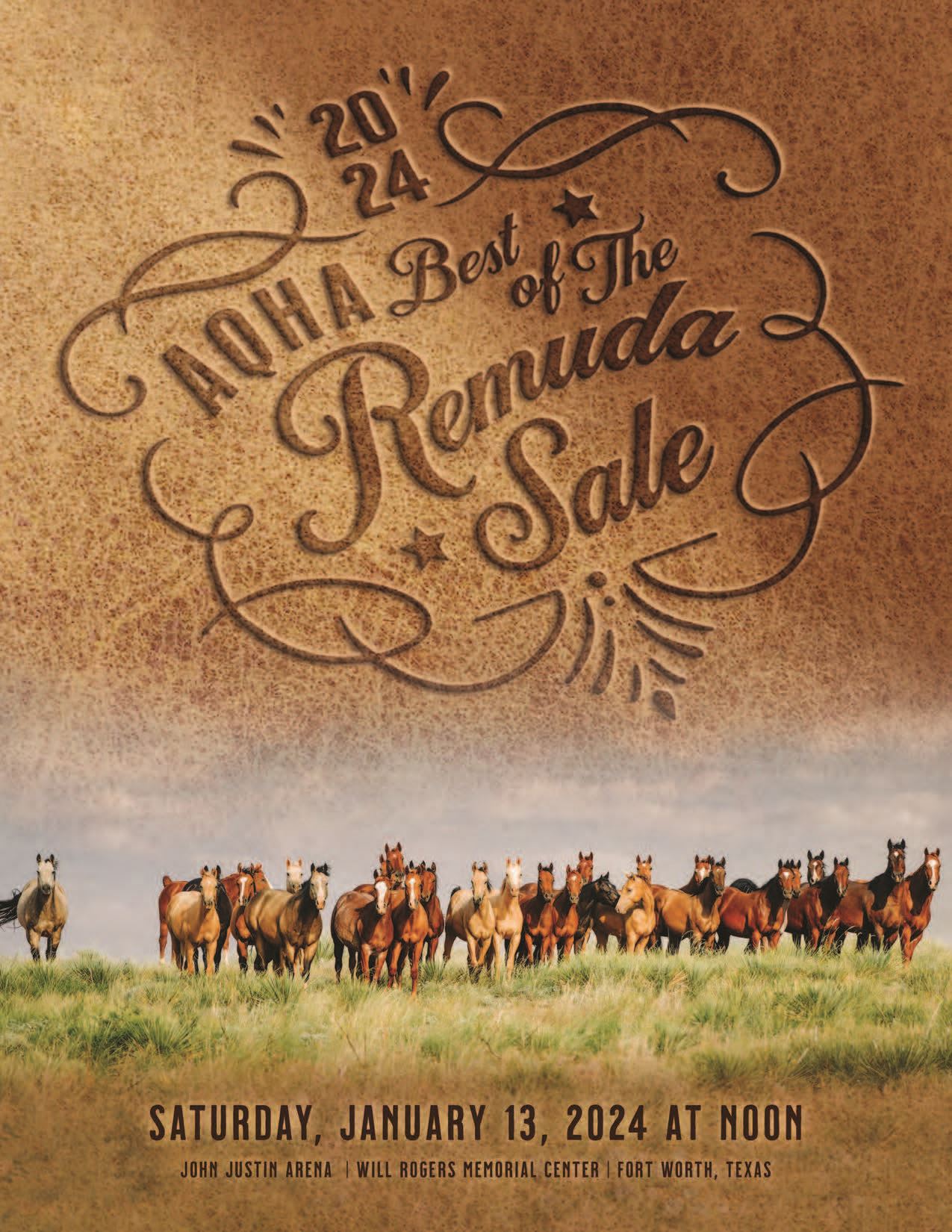 Horse Sale Information