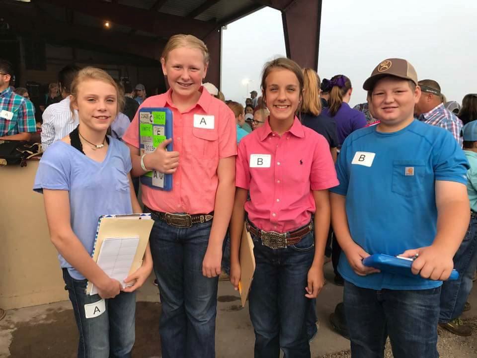 Livestock Judging Contest