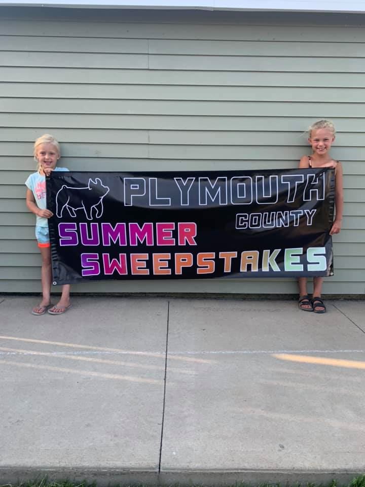 Open Class Swine Show Plymouth County Summer Sweepstakes