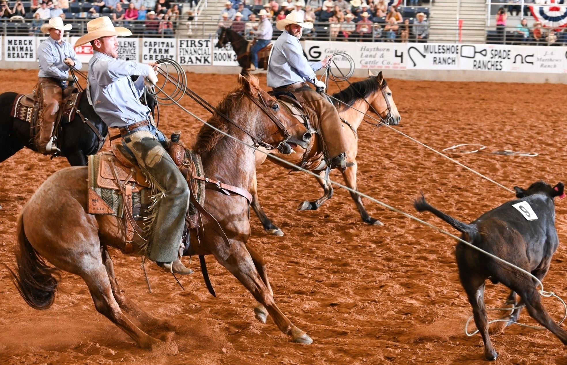 Haythorn Land & Cattle Co.