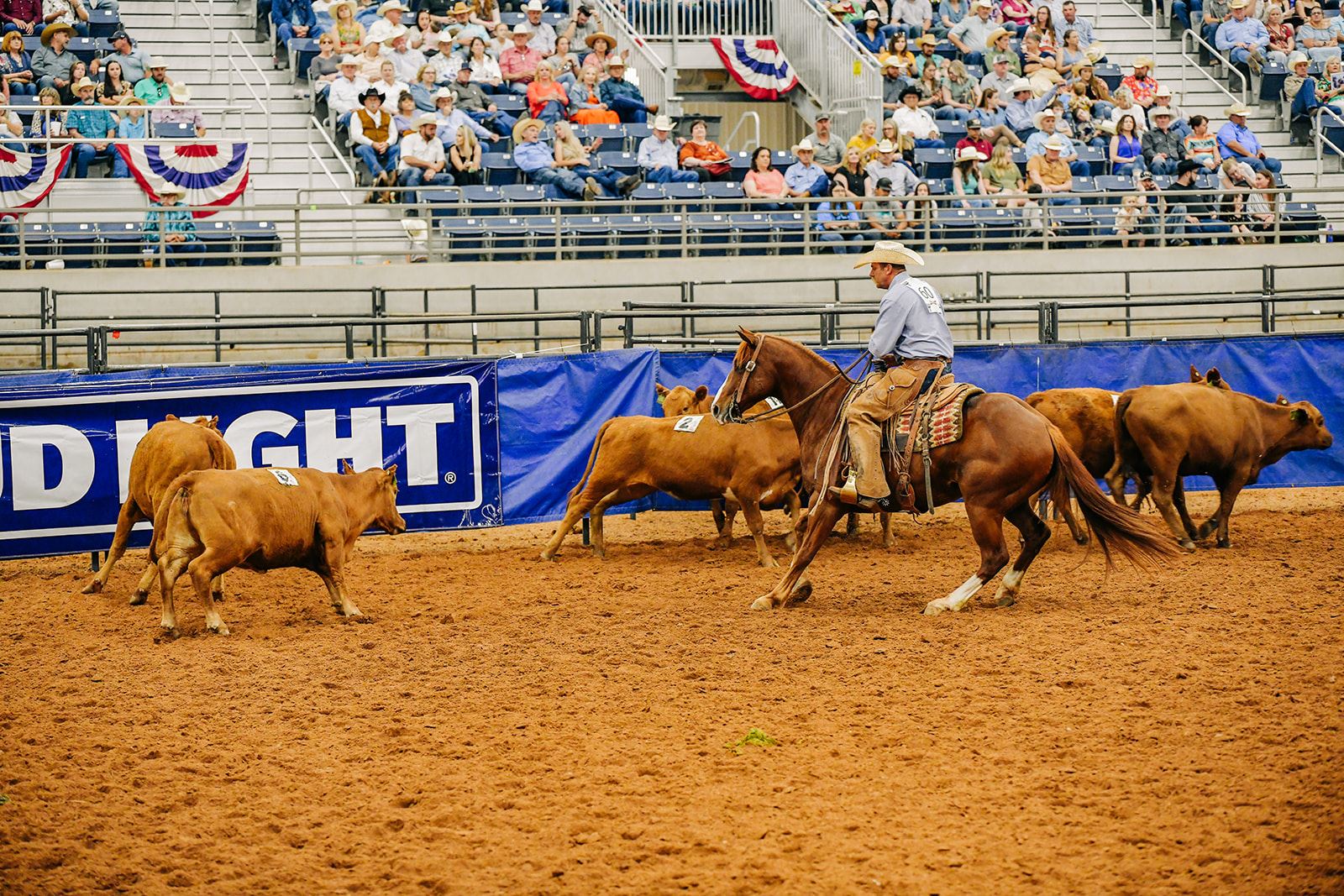 Pitchfork Land & Cattle Company