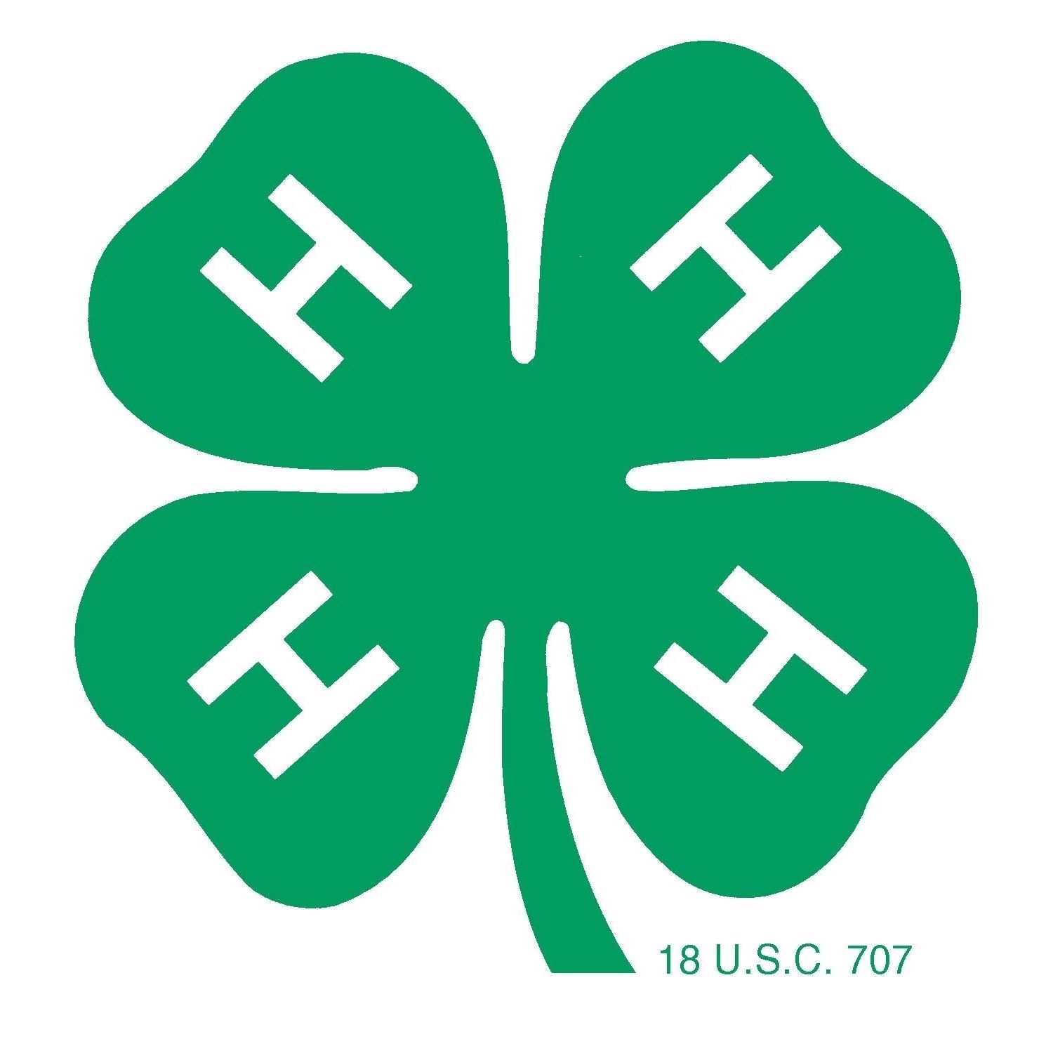Windham County 4-H Fair