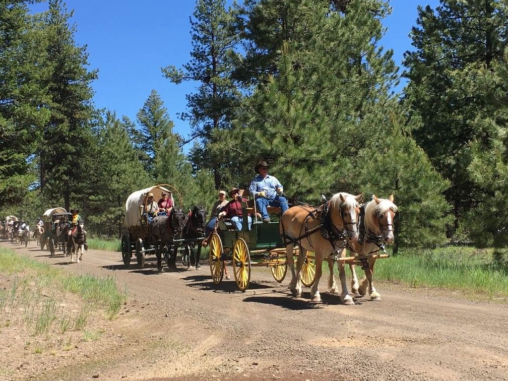 Wagon Train