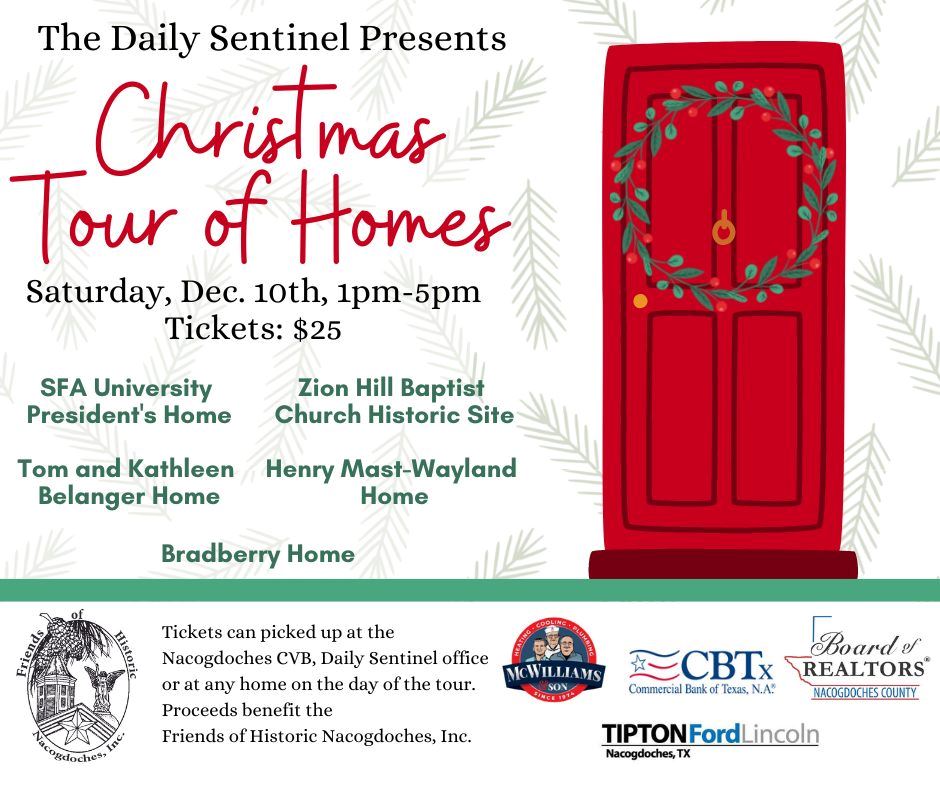 Christmas Tour of Home