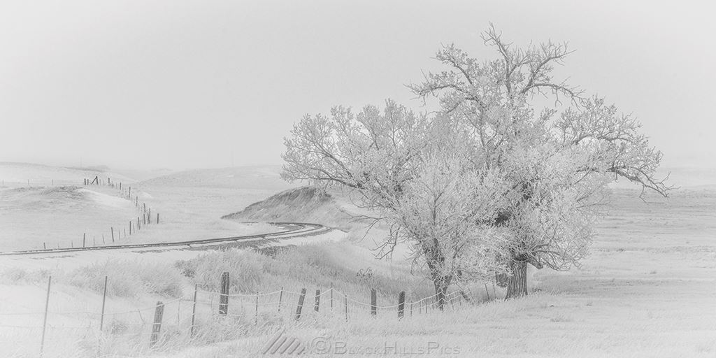 Craig Alberty Black Hills Pics