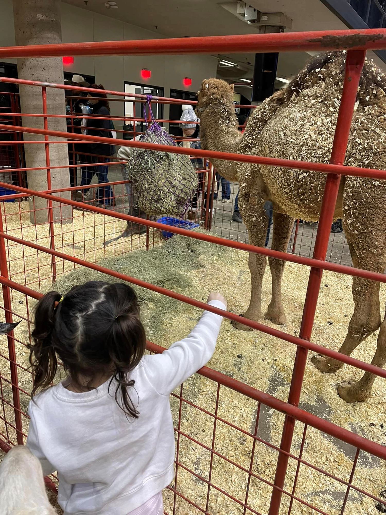 First Interstate Bank Barnyard Animal Nursery