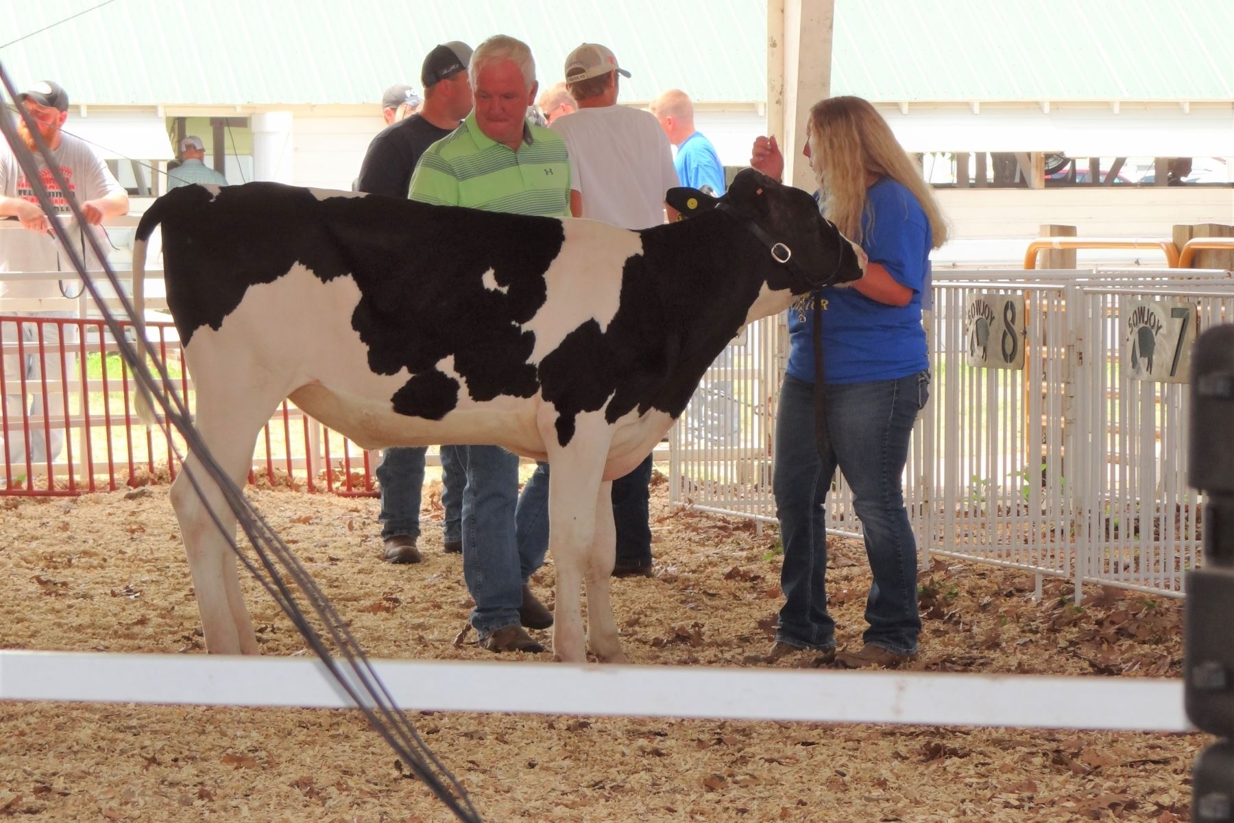 4-H and FFA Competitions