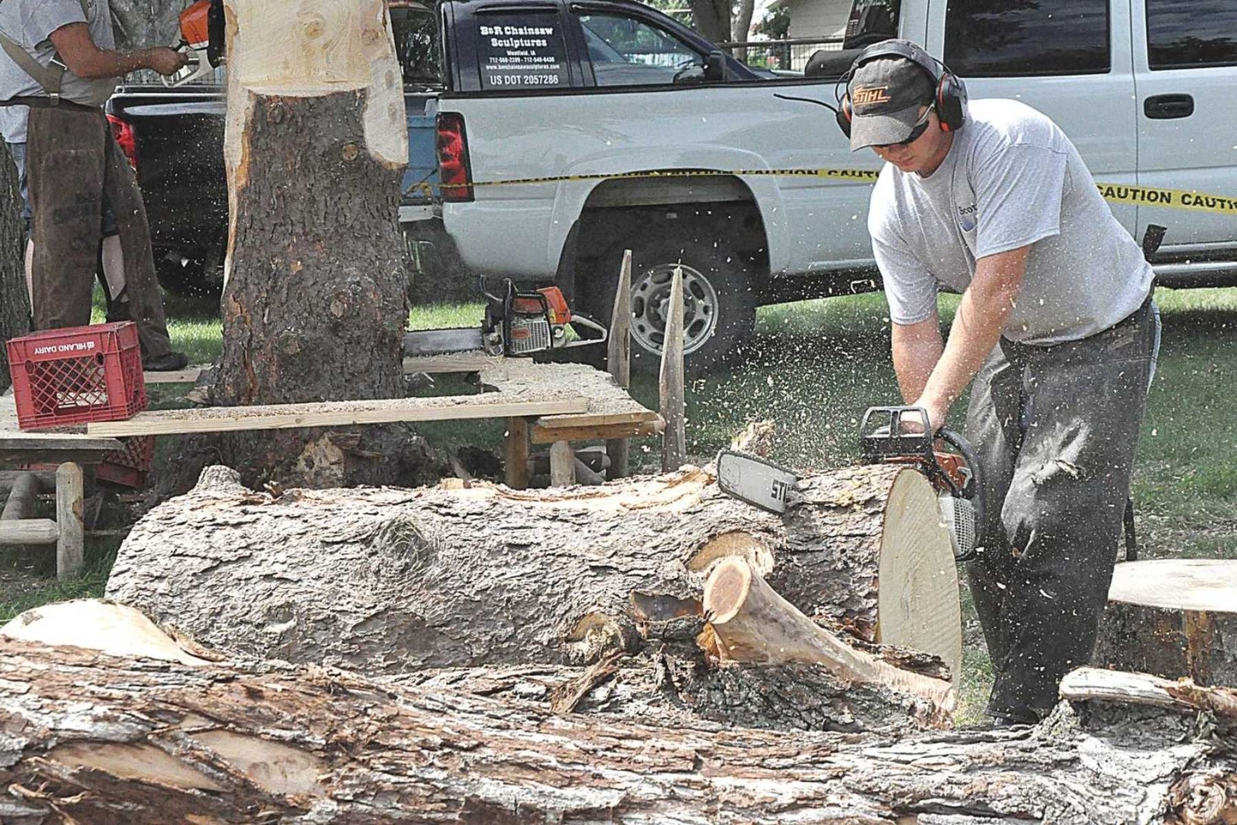 Chain Saw Artist