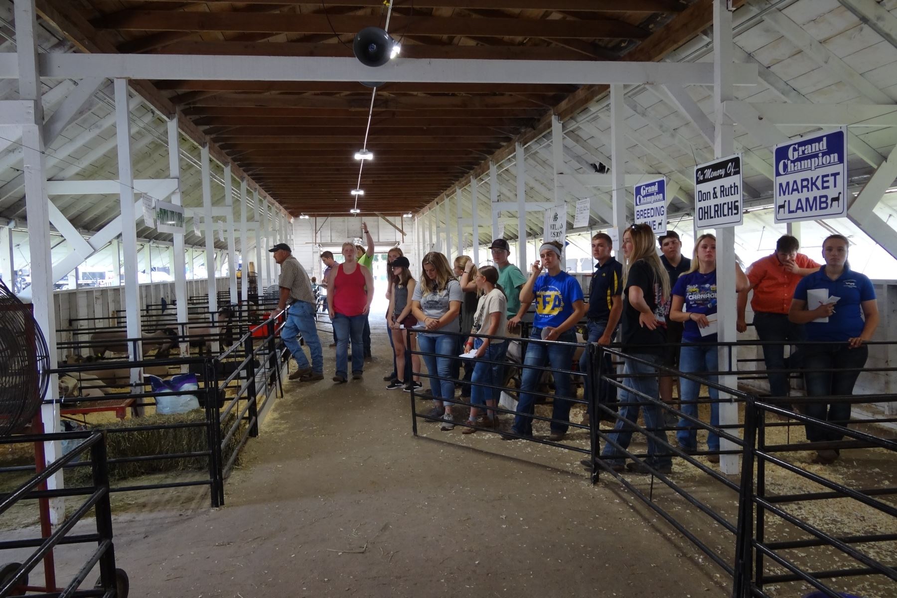 4-h-and-ffa-competitions