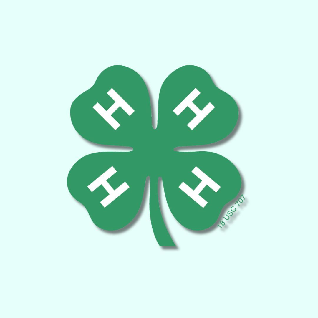 4-H Day