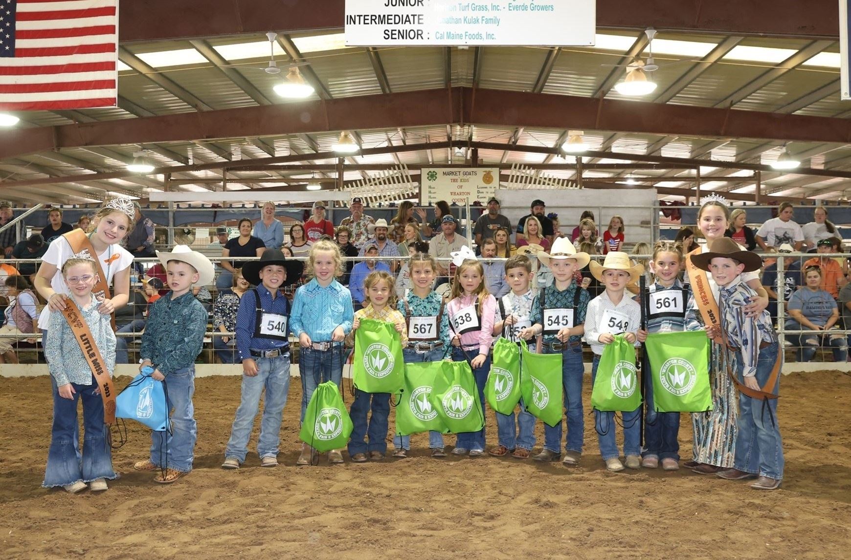 Bucket Calf Show