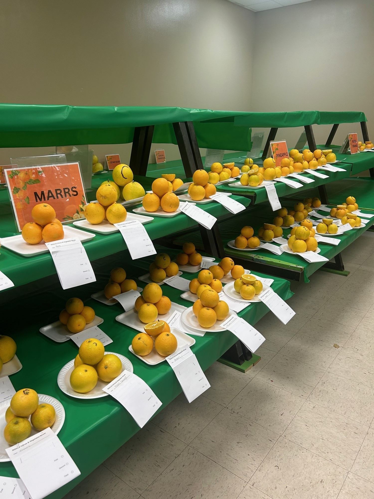 Citrus & Vegetable Show