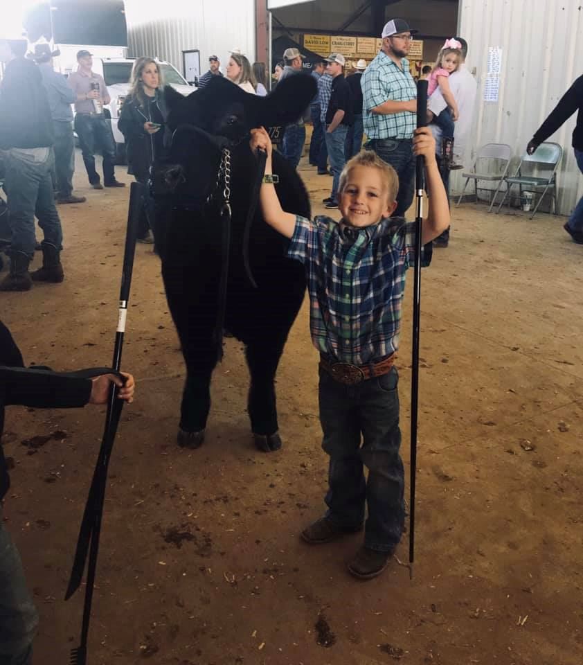 Ellis County Youth Livestock show