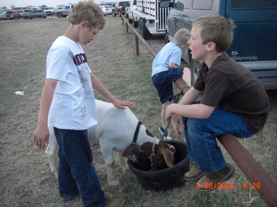 Ellis County Youth Livestock show