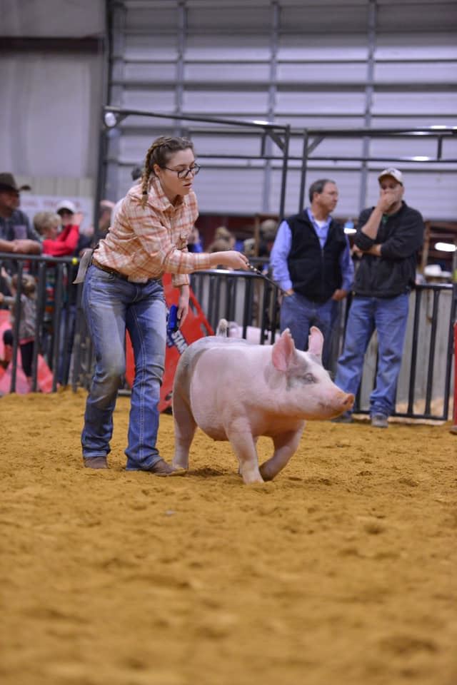 Ellis County Youth Livestock show