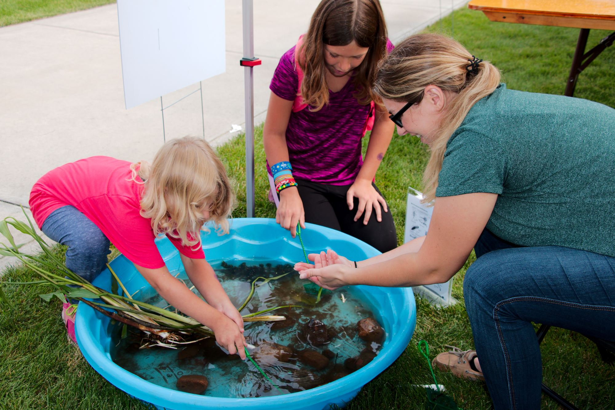 Elkhart County 4-H Fair | The Great Elkhart County 4-H Fair!