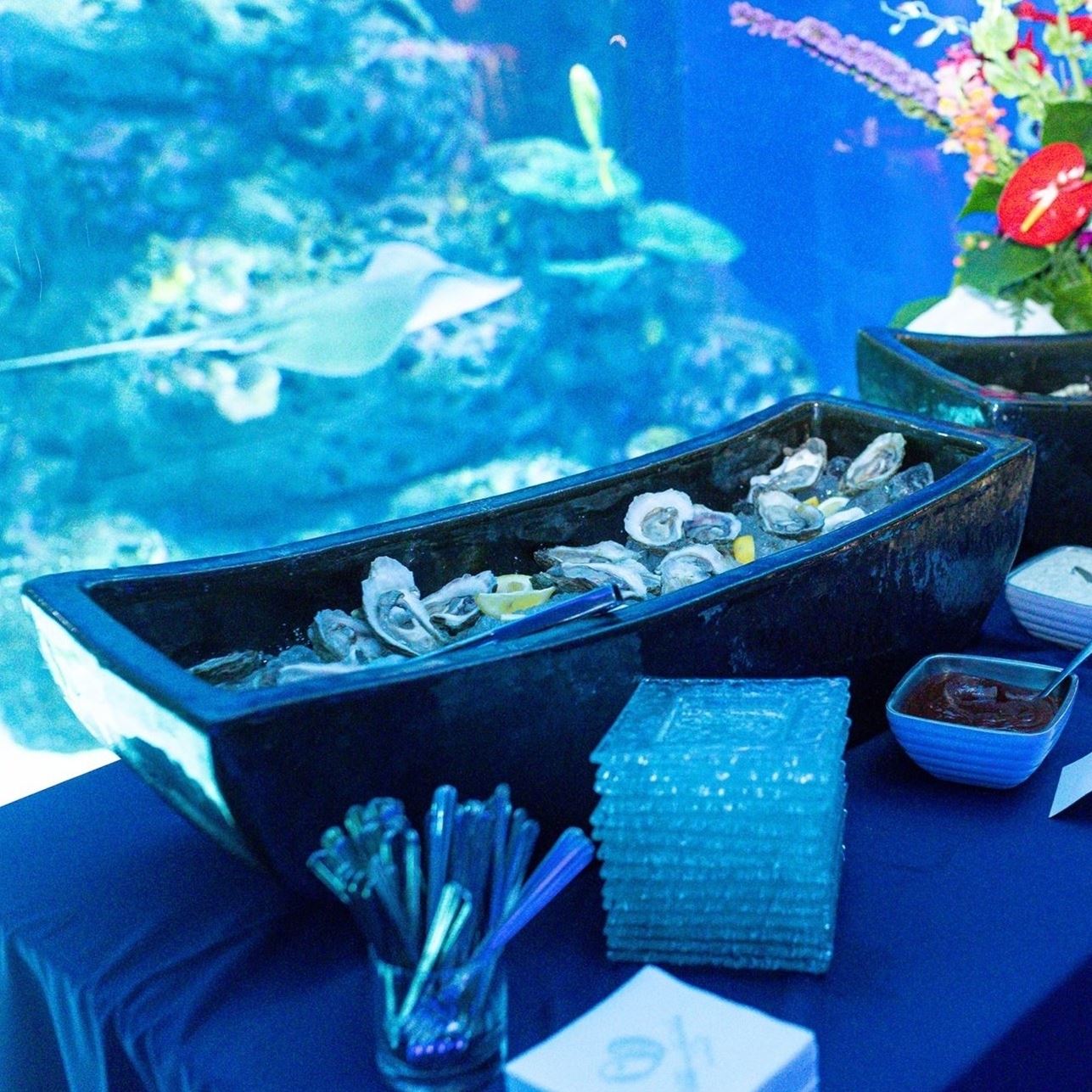Corporate Events at Mississippi Aquarium